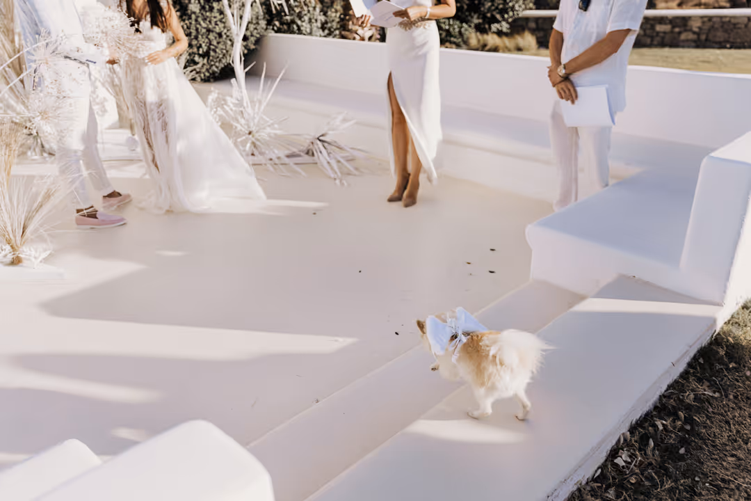 Wedding in Mykonos Photo no. 40